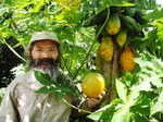 Uさんとパパイア