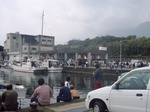 お魚祭り1