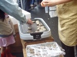お魚祭り3
