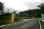 もりの市場