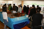 ウミガメ展2
