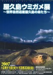ウミガメ展ポスター