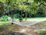 キャンプ場