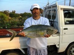 シマアジ1