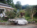 ppC邨
