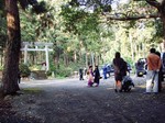 益救神社の七草