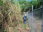 猿柵の草刈作業