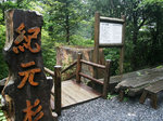 紀元杉観光