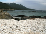 栗生のサンゴ海岸.jpg