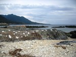 栗生海1