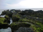栗生海4