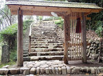 古都蕗