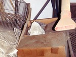 子猫を守る親猫