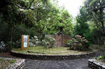 シャクナゲ公園