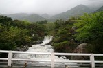 増水した二又川