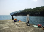 湯向地区の堤防