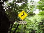 動物注意の看板