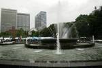 日比谷公園の森林の市