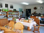 八万寿茶園1
