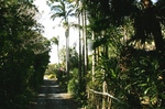 平内公園1