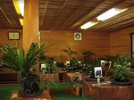 野生植物展示舎