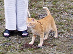 mqƂ񂿂.jpg